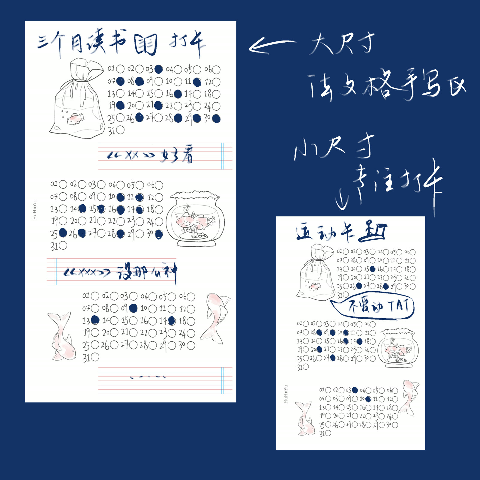 小鱼三个月打卡