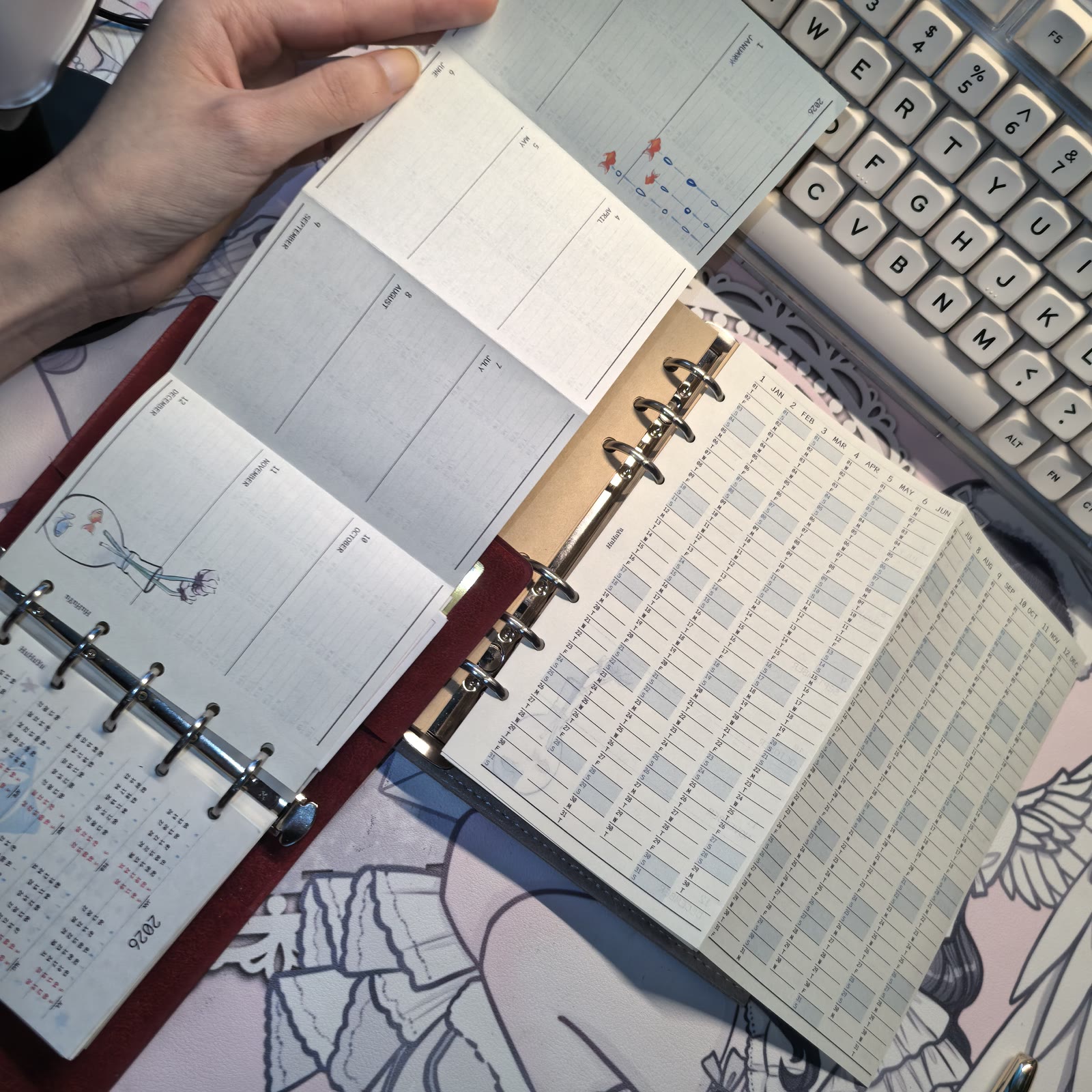 鸟瞰图年计划