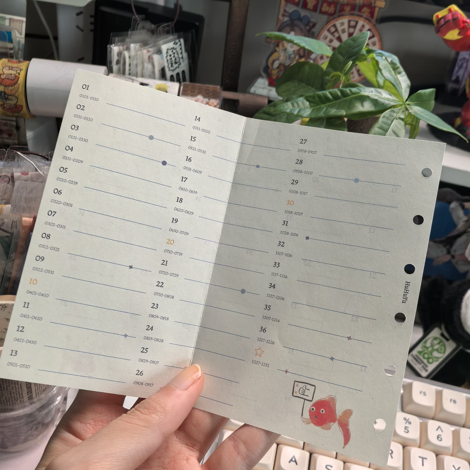 36个10天计划（26年）