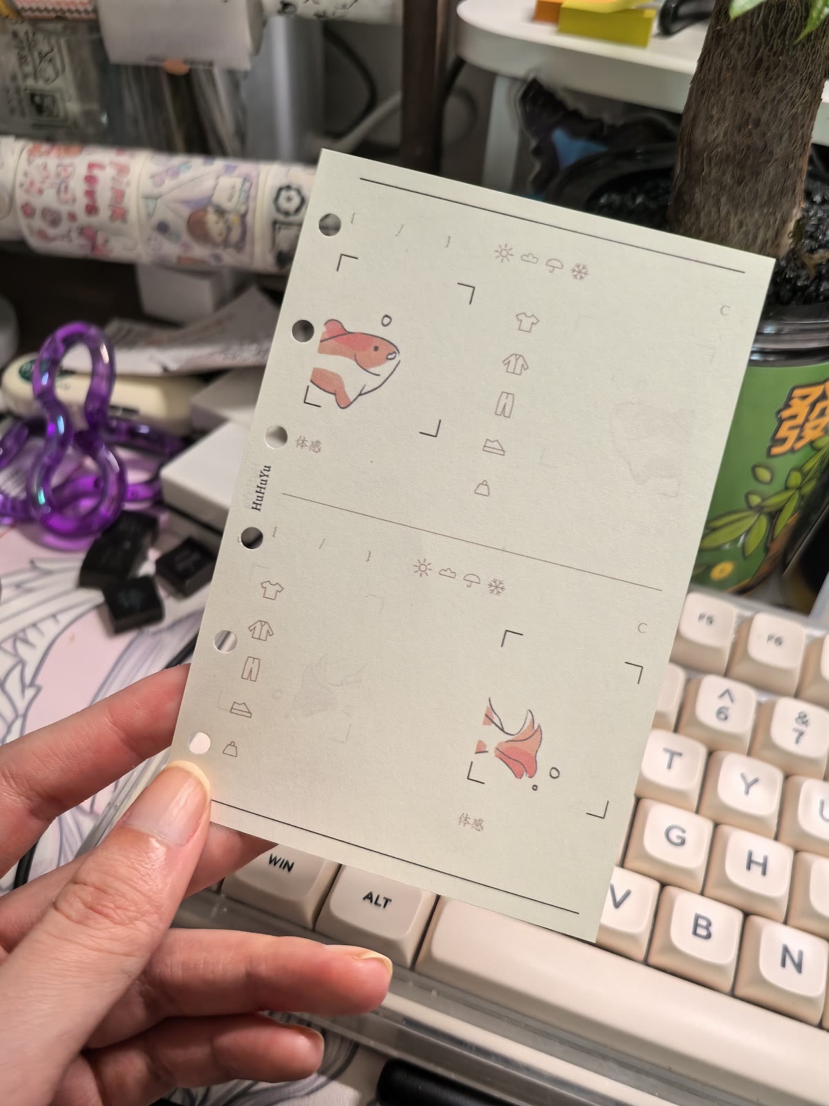 日常穿搭记录 小鱼